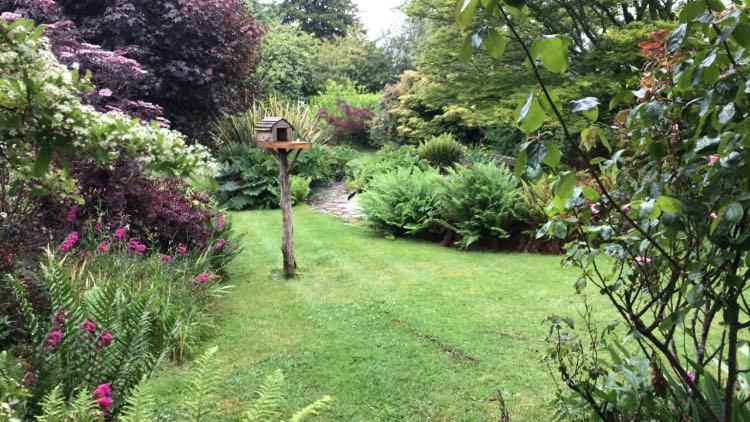 Hartree Guest House Newton Abbot Buitenkant foto
