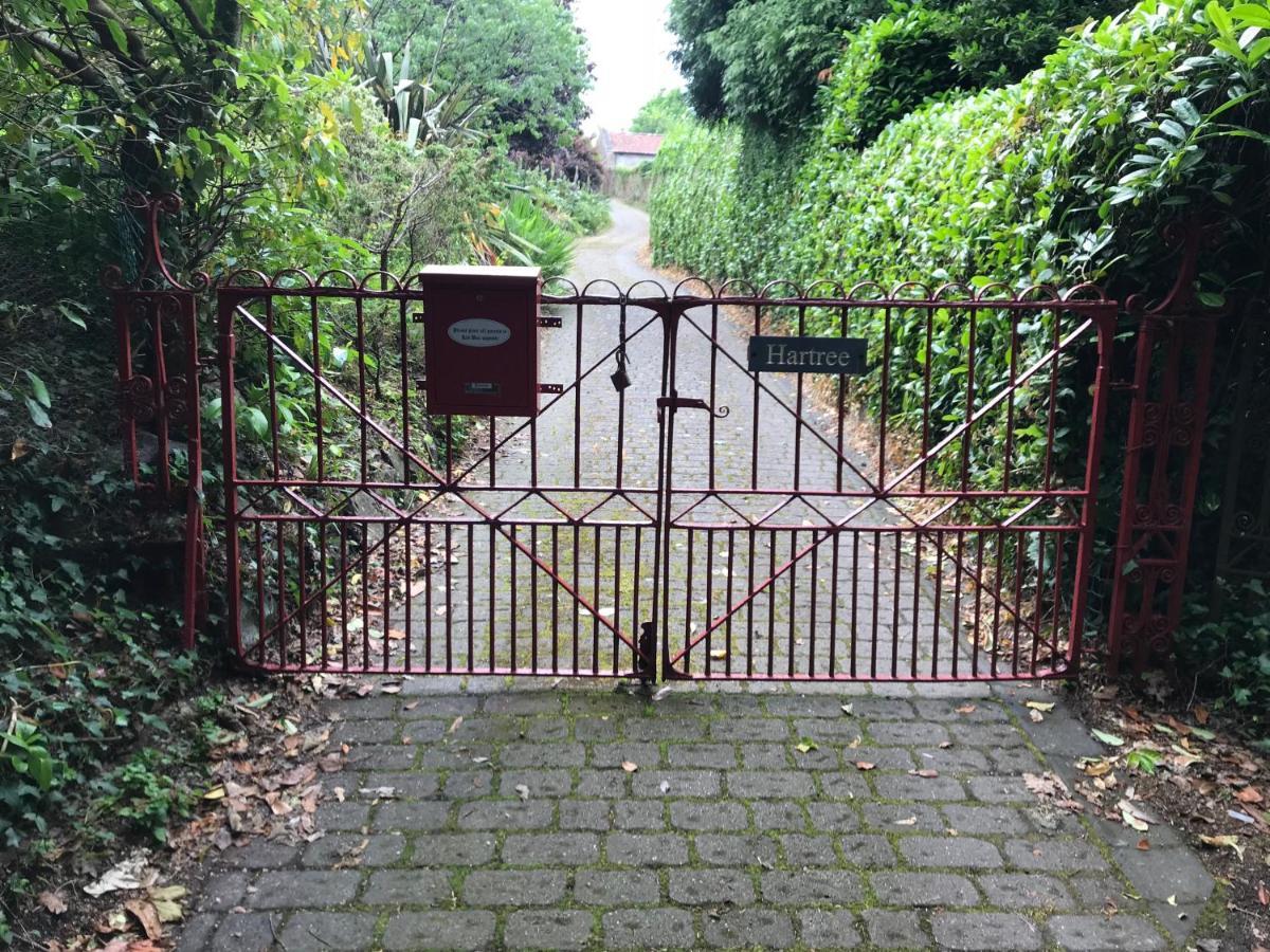Hartree Guest House Newton Abbot Buitenkant foto