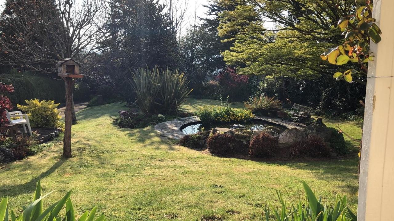 Hartree Guest House Newton Abbot Buitenkant foto